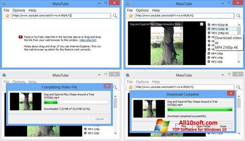 Skärmdump MassTube för Windows 10