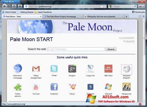 Skärmdump Pale Moon för Windows 10