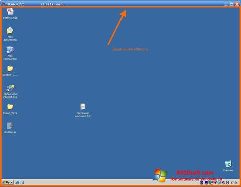 Skärmdump Radmin för Windows 10