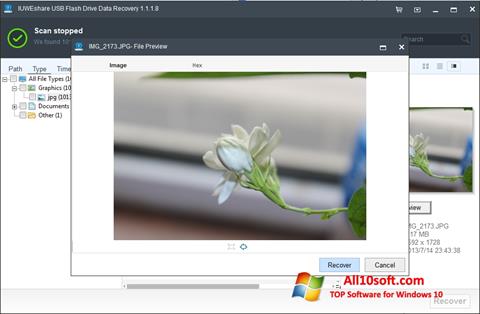 Skärmdump USB Flash Drive Recovery för Windows 10