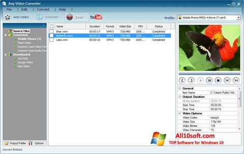 Skärmdump Any Video Converter för Windows 10