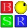 BSR Screen Recorder för Windows 10