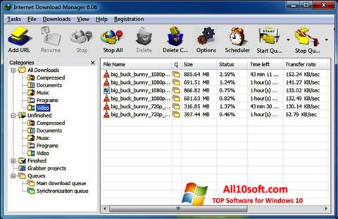 Skärmdump Internet Download Manager för Windows 10