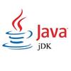 Java SE Development Kit för Windows 10
