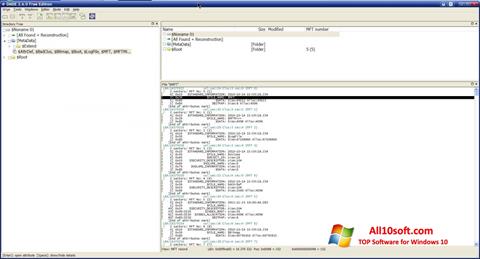 Skärmdump DMDE för Windows 10