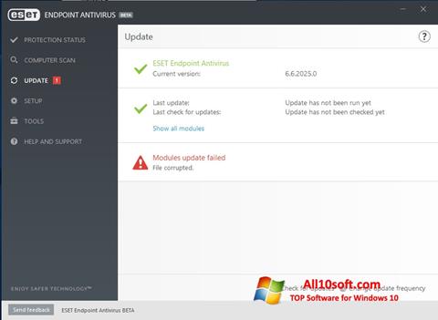 Skärmdump ESET Endpoint Antivirus för Windows 10