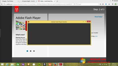 Skärmdump Adobe Flash Player för Windows 10